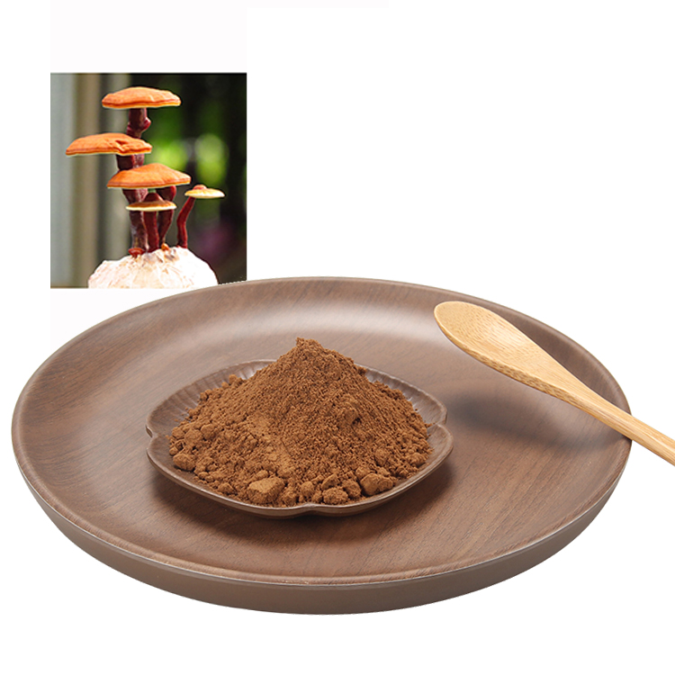Fine Grind USDA Certified Organic Red Reishi Mushroom Extract Powder – Ideal for High-Potency Applications